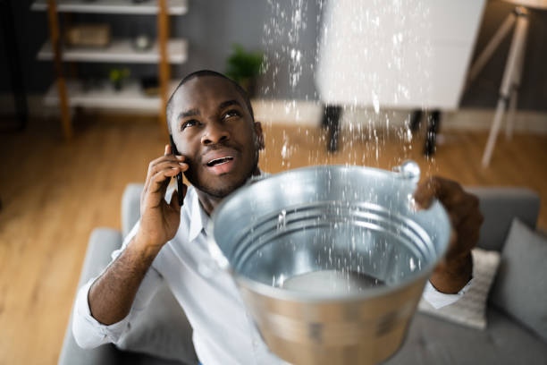 Best Flood restoration services  in St Clair, MI