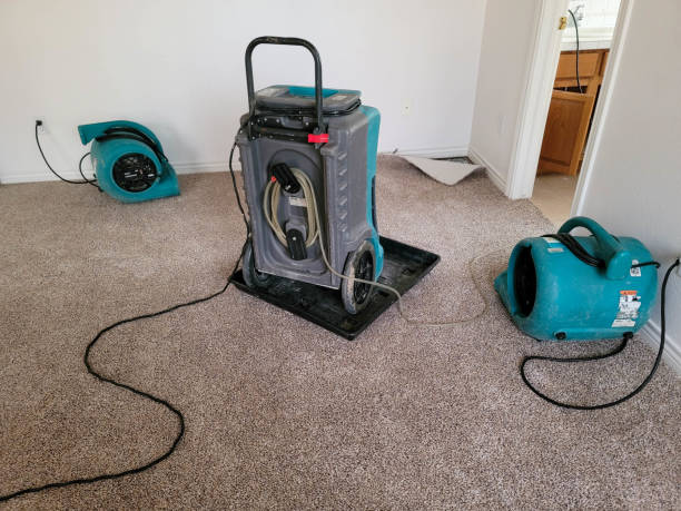 Best Fire Damage Restoration  in St Clair, MI