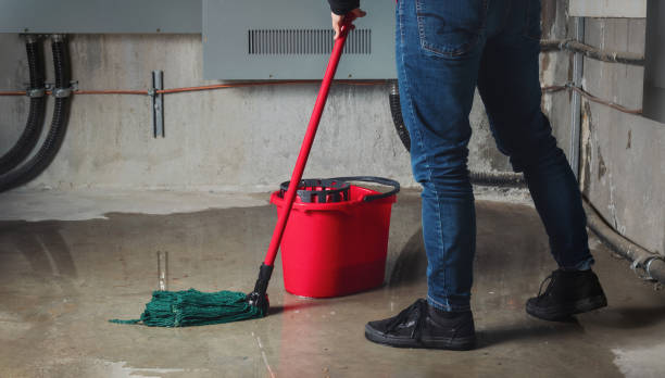 Best Sewage cleanup and water damage restoration  in St Clair, MI