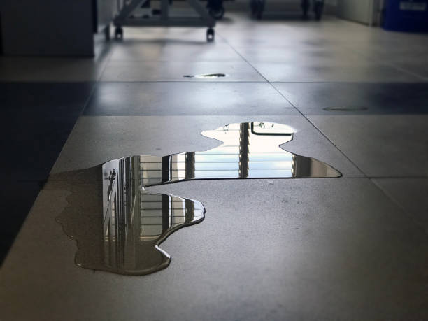 Best Professional water damage repair  in St Clair, MI