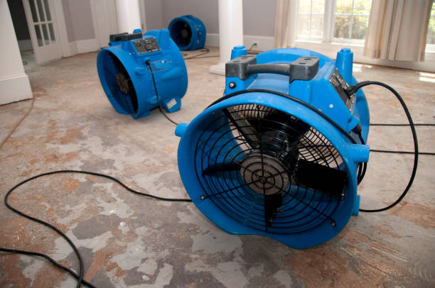 Best Water damage restoration mold remediation  in St Clair, MI