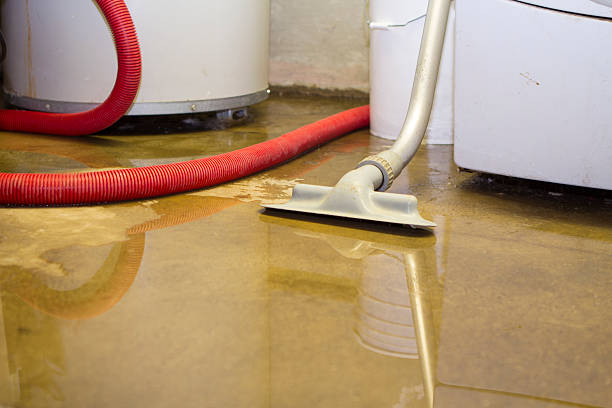 Best Flooded house restoration  in St Clair, MI