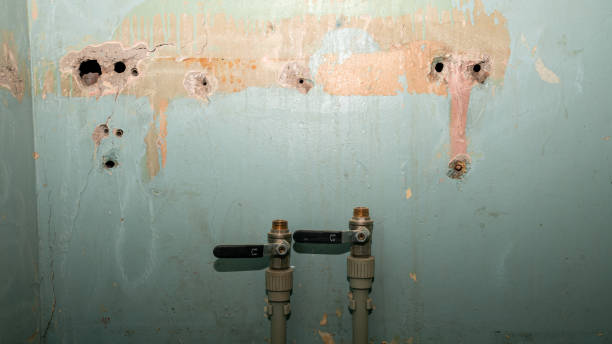 Best 24-hour water damage restoration  in St Clair, MI