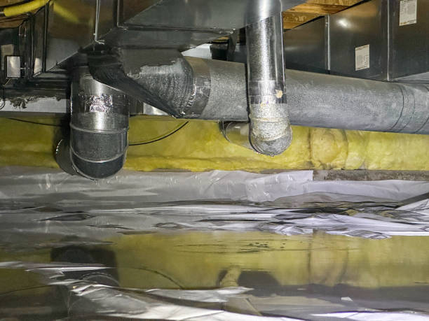 Best Water damage restoration near me  in St Clair, MI