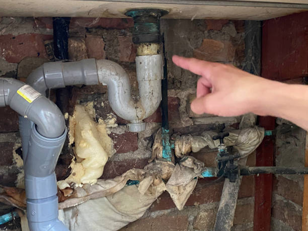 Best Basement water damage restoration  in St Clair, MI