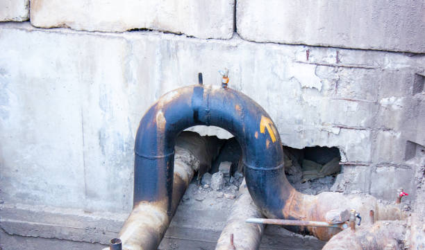 Best 24/7 water damage repair  in St Clair, MI