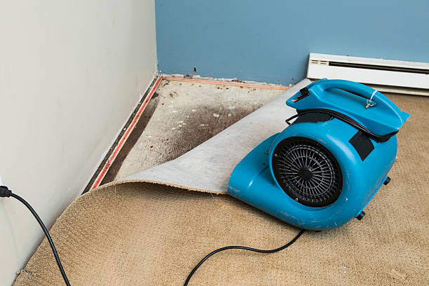 Best Water damage cleanup near me  in St Clair, MI